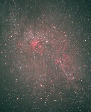 Cygnus
